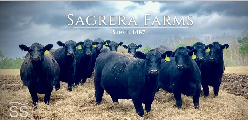 Sagrera Farms